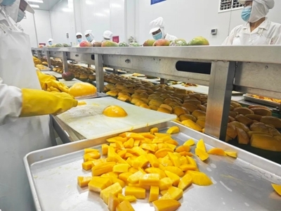 攀枝花市仁和區(qū)人民政府