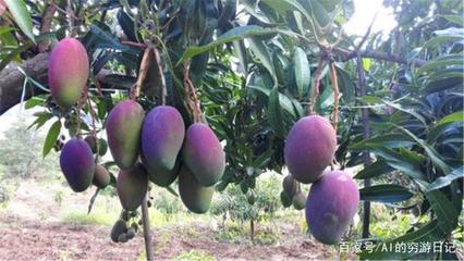 四川未來最&ldquo;吃香&rdquo;的城市,成都、綿陽落榜,這個城市眾望所歸