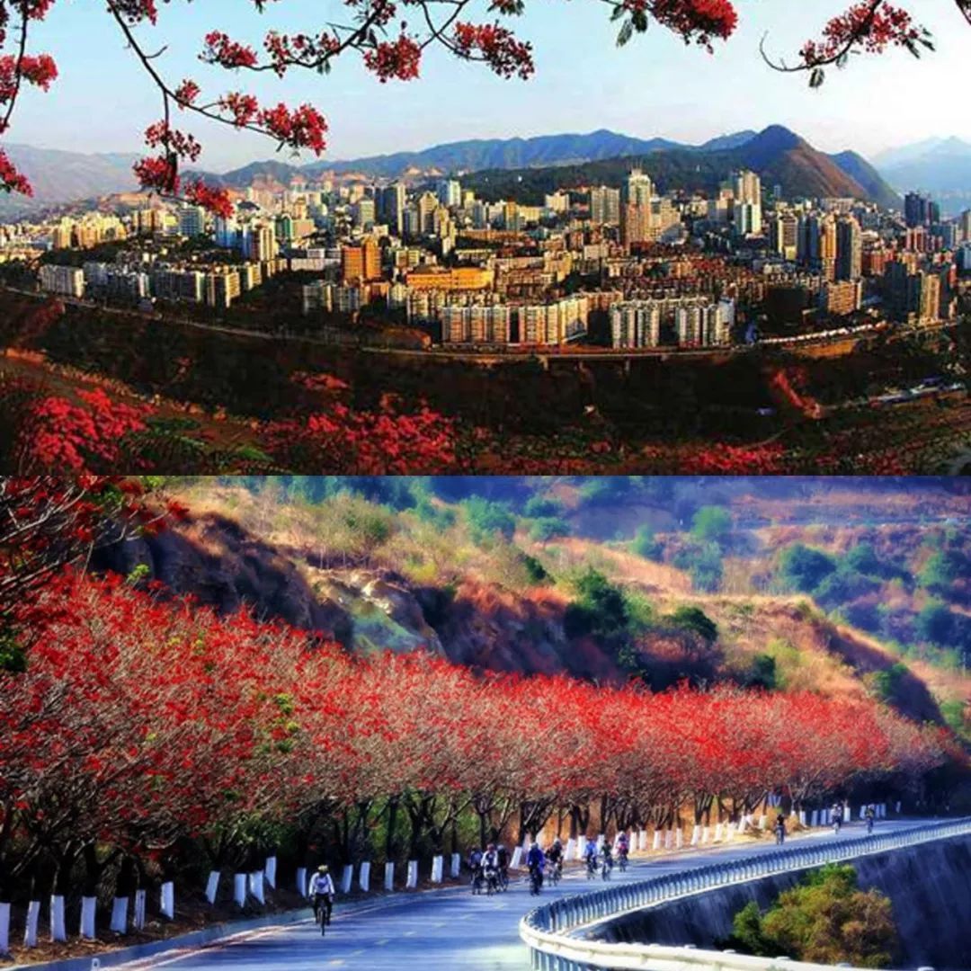 一周要聞 | 茅臺旗艦店或入駐萬達廣場 金科、碧桂園齊聚四川拿地