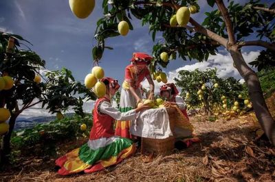 帶著陽光、帶著果香,帶著&ldquo;康養(yǎng)+&rdquo;,北京!東區(qū)來了&middot;&middot;&middot;&middot;&middot;&middot;_財經(jīng)_網(wǎng)