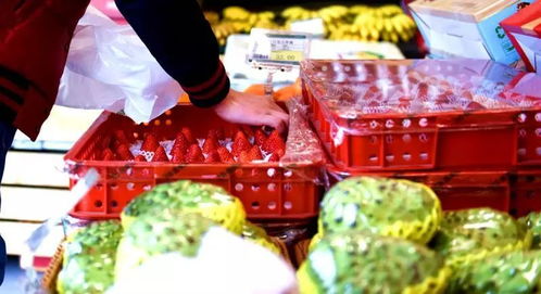 攀枝花水果 春節(jié)送禮新風(fēng)尚，外地市場受熱捧